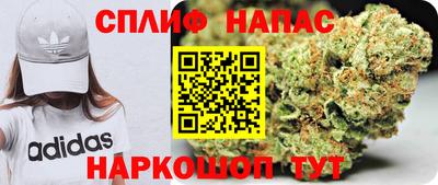 индика Жуковский