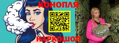 индика Жуковский