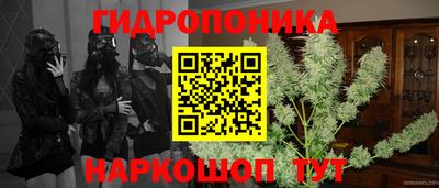 не бодяженный Заводоуковск