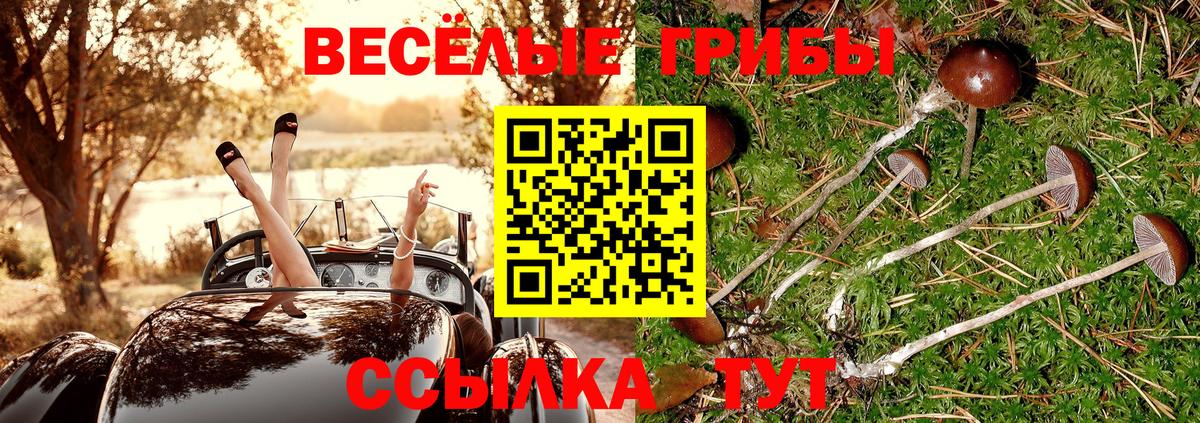 Псилоцибиновые грибы прущие грибы  Псилоцибиновые грибы Psilocybe  Вход с VPN  Балашов 