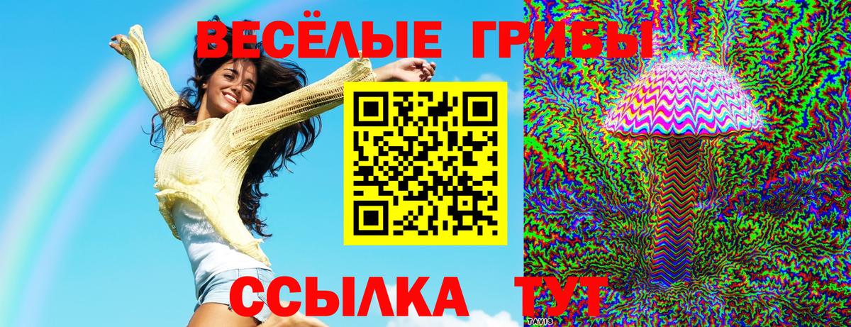 Псилоцибиновые грибы GOLDEN TEACHER Балашов